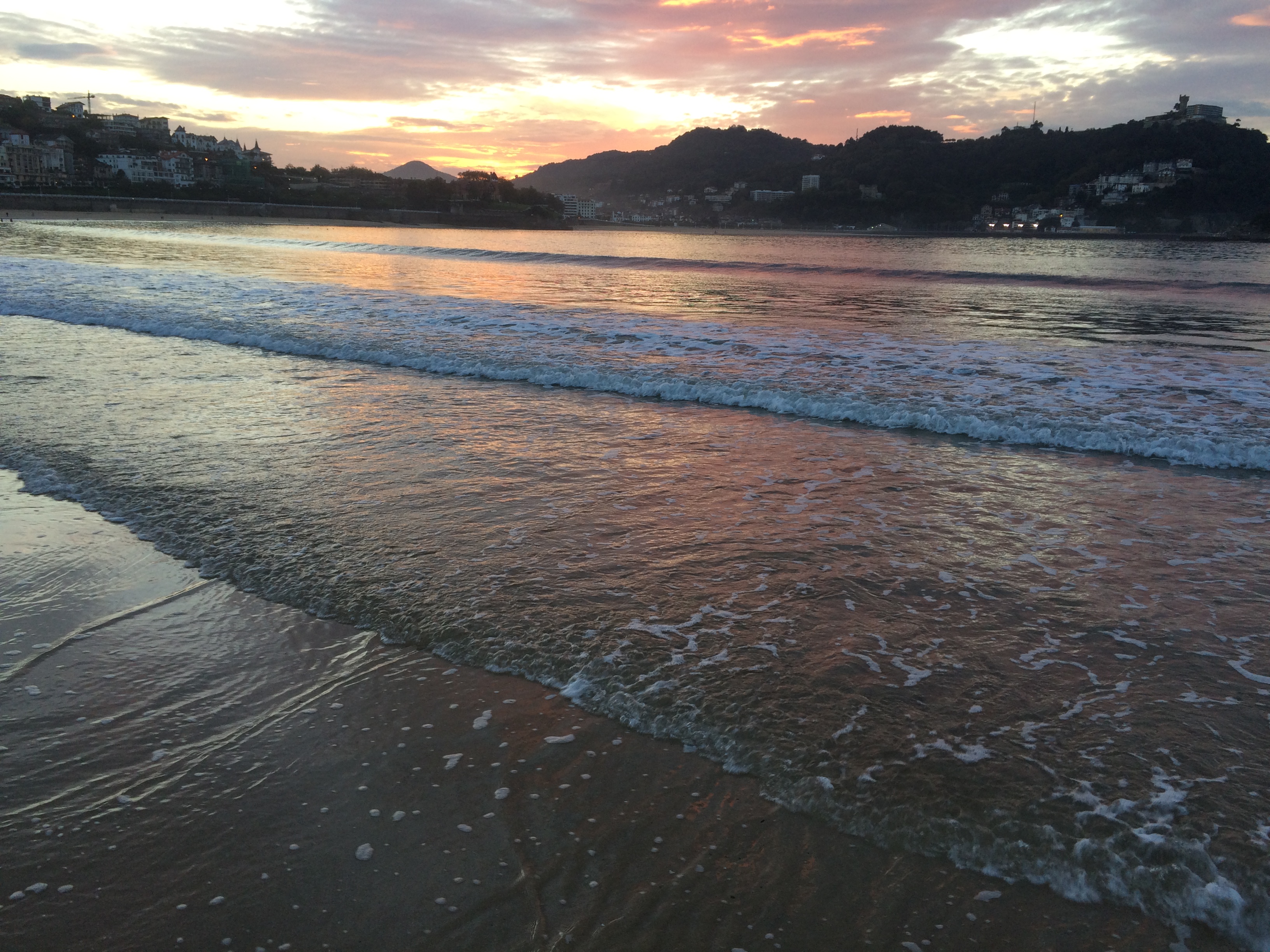 brainy tongue sunset