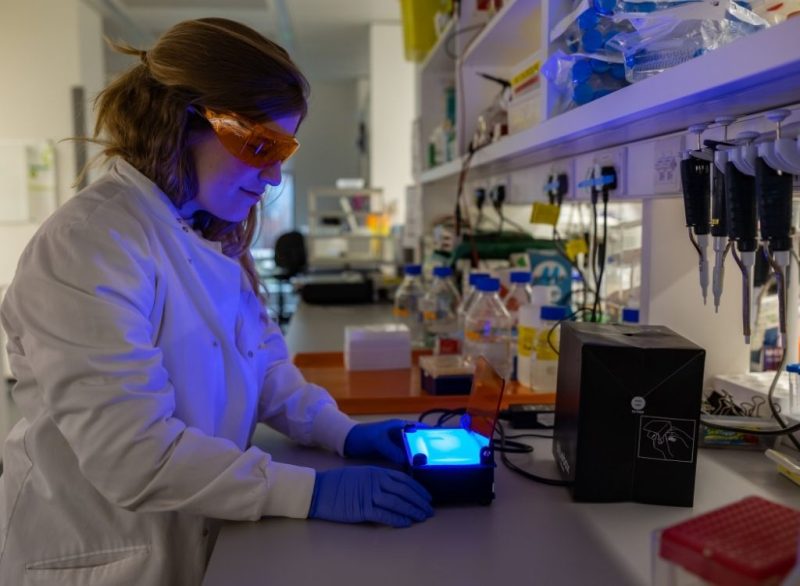 Science Technology Graduate Programme